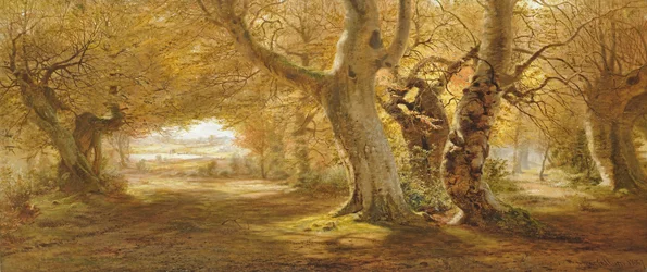 Skogslandskap, 1887